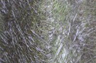 Dunollie fibreglass roof work